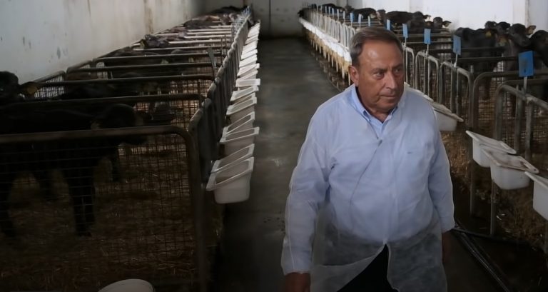 Sütünü Bile Kendi Üretiyor  Saray Muhallebicisi’nin 86 Yıllık Öyküsü