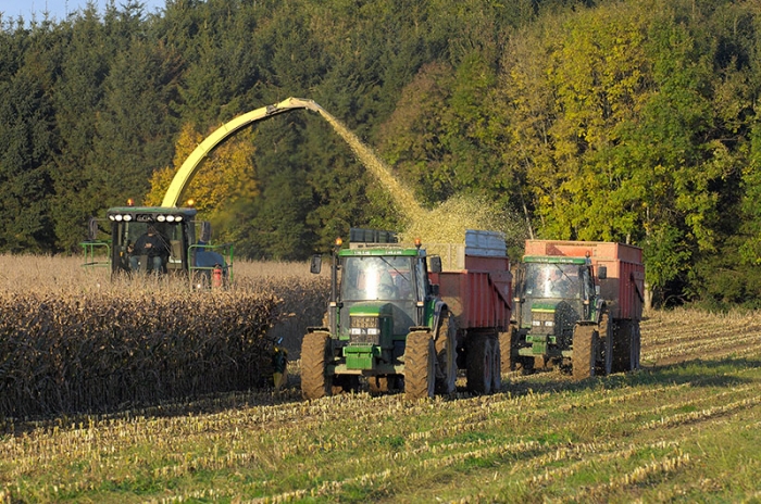 Hektaş Londra’da ‘Büyük Ölçekli Şirketler Endeksi’ne yükseldi