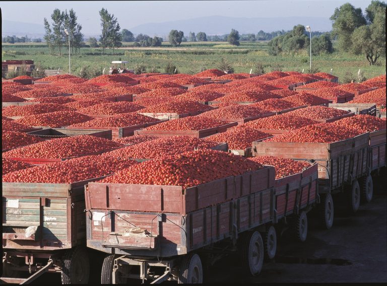 Merko satışlarını altı kattan fazla artırdı