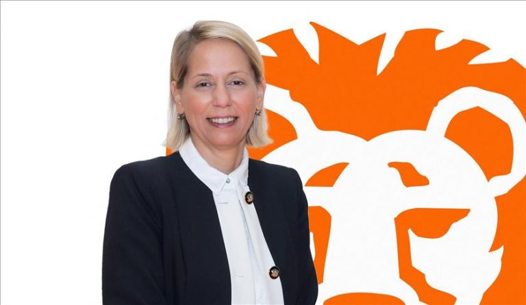 ING Türkiye yönetimine HSBC’den transfer