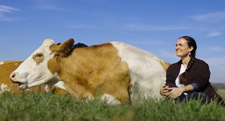 Çiftliklerin Hanım Ağası / Aysun the sütçü’nün Hikayesi