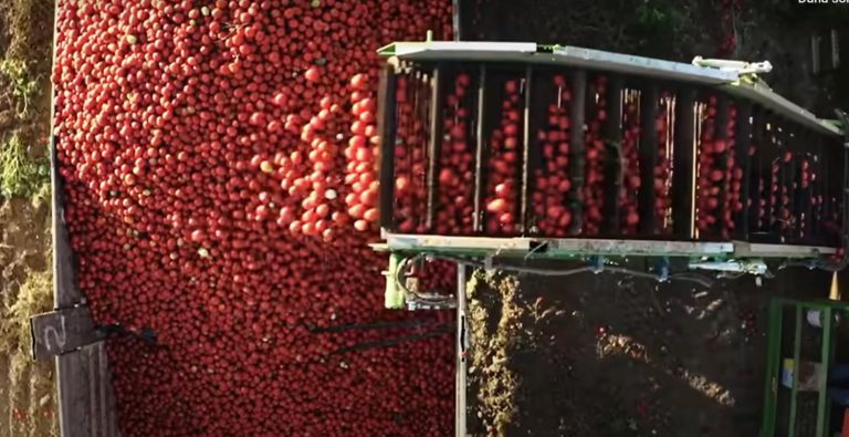 Tukaş’tan dondurulmuş ürünlere yeni yatırım