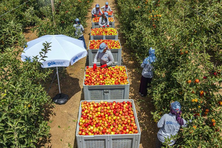 Borsada yeni halka arzlar Göknur Gıda ile başlıyor