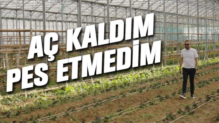 Aç Geçen Gecelerden Sera Krallığına / Greenada Mesut Türk
