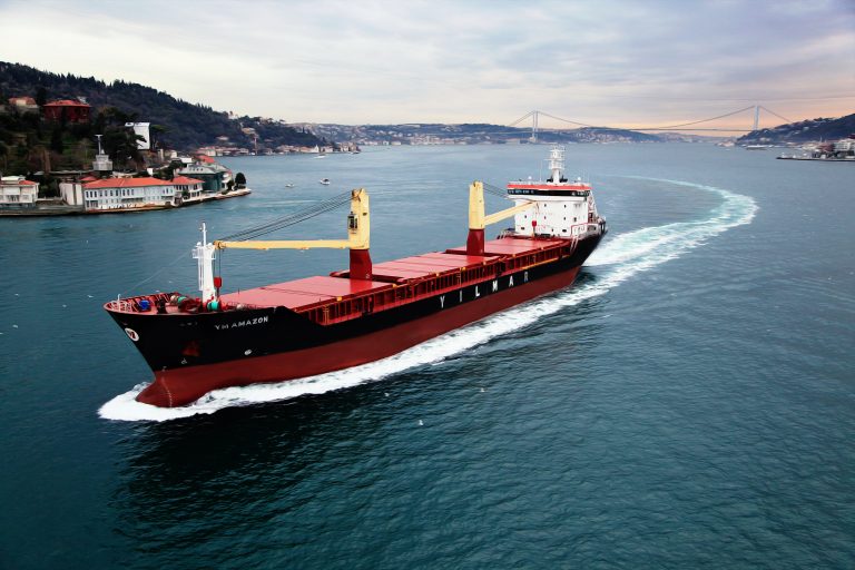 Yıldırım Holding, Hırvat petrokimya devini aldı