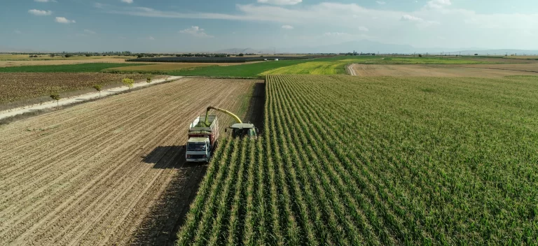Agrotech halka arz büyüklüğü 1,56 milyar TL oldu