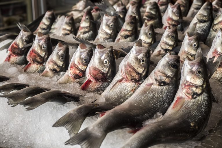 Egeli balıkçıların 11 aylık ihracatı 1 milyar doları aştı