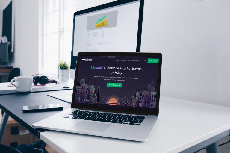 Mükellef 2023’te gelirini 3 kat artırdı