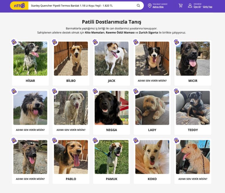 Barınaklardaki köpekleri sahiplenmek için yeni proje