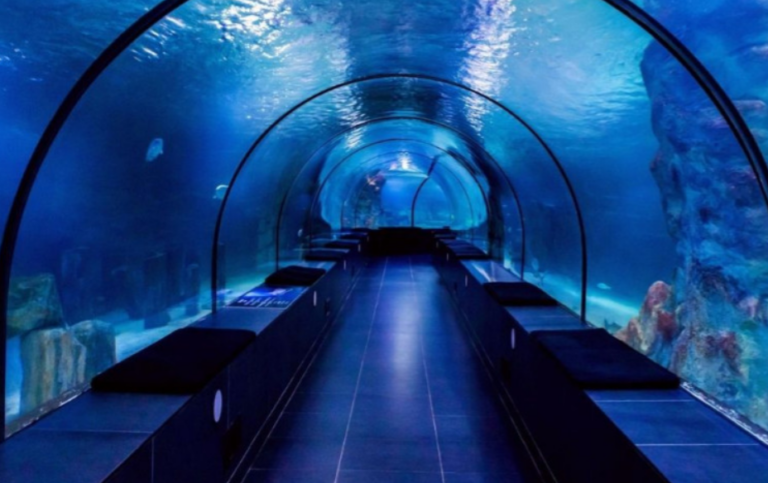 İstanbul’da Madame Tussauds, Sea Life Akvaryum ve Legoland kalıcı olarak kapanıyor