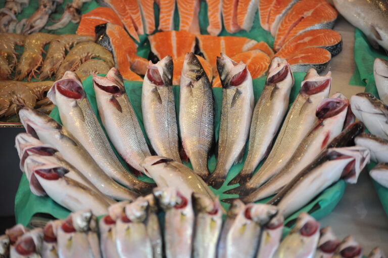 Türkiye’nin ABD’ye su ürünleri ve hayvansal mamuller ihracatı 10 yılda 3 kat arttı