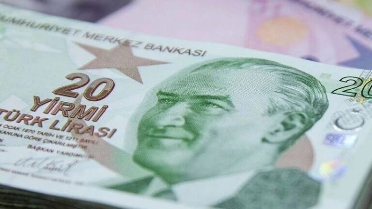Yeni 20 TL’lik banknotlar bugün tedavüle girdi