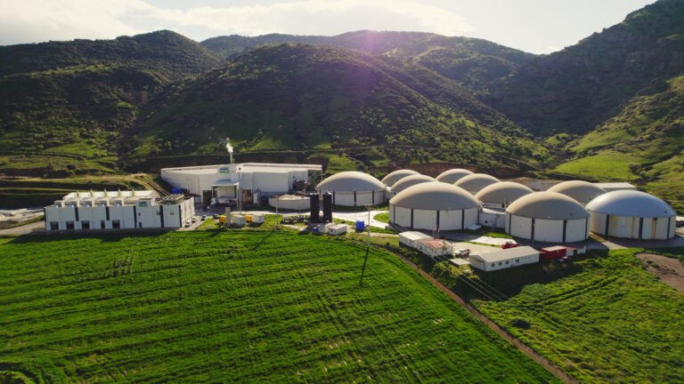 ARF Bio pay başına 19,50 TL fiyatla halka arz oluyor